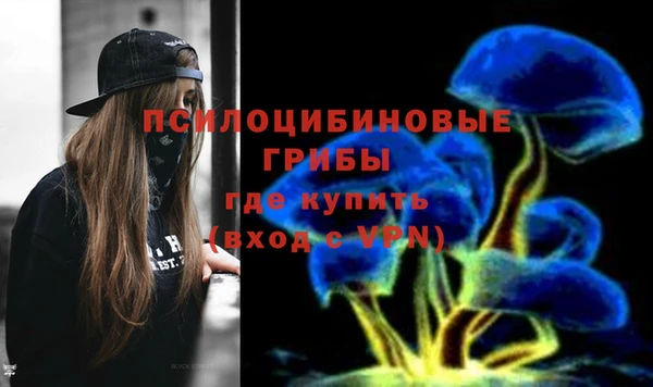 индика Горняк