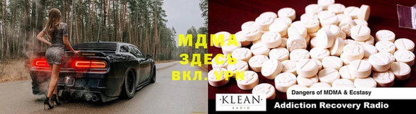 индика Горняк