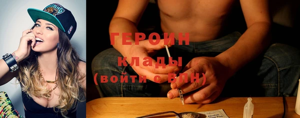 индика Горняк