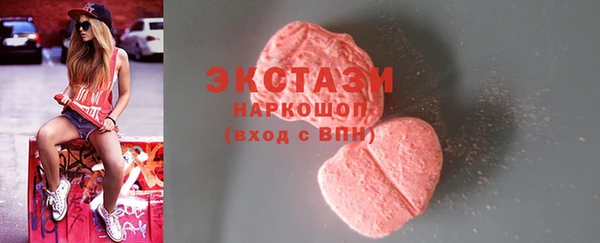 индика Горняк