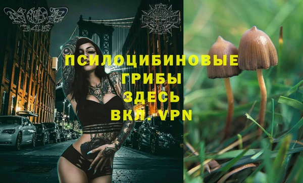 индика Горняк