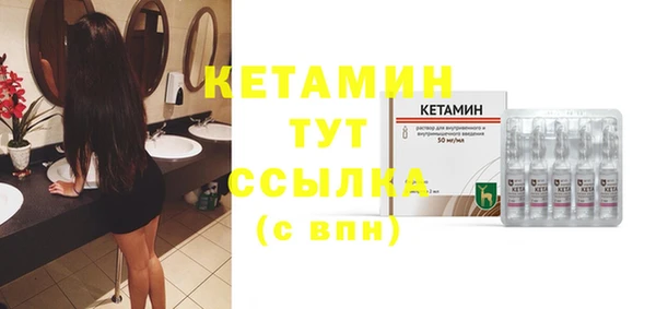 индика Горняк