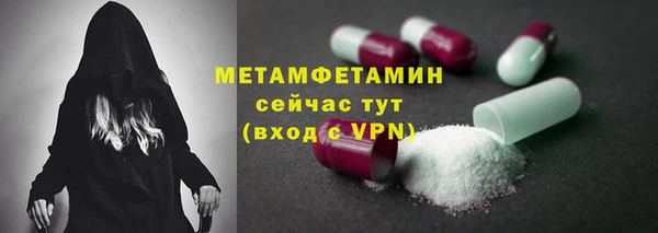 индика Горняк