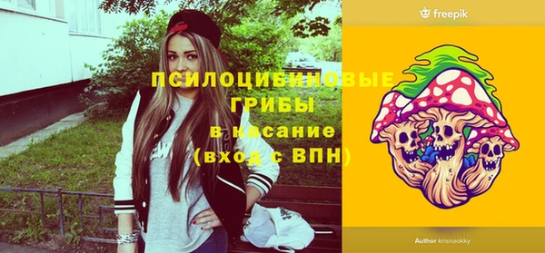 не бодяженный Горнозаводск