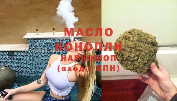 индика Горняк