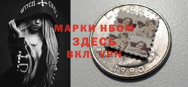 индика Горняк