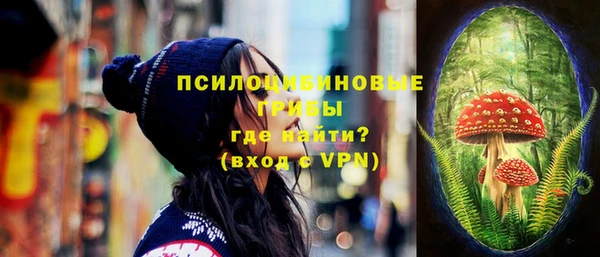 индика Горняк