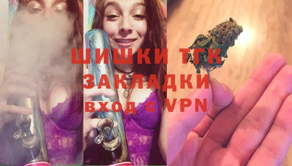 индика Горняк