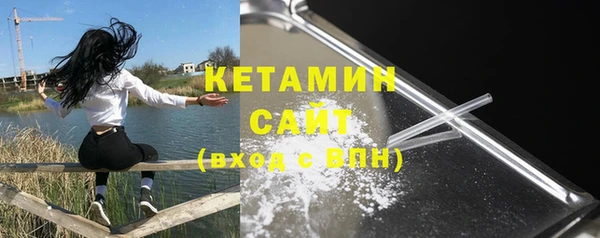 индика Горняк